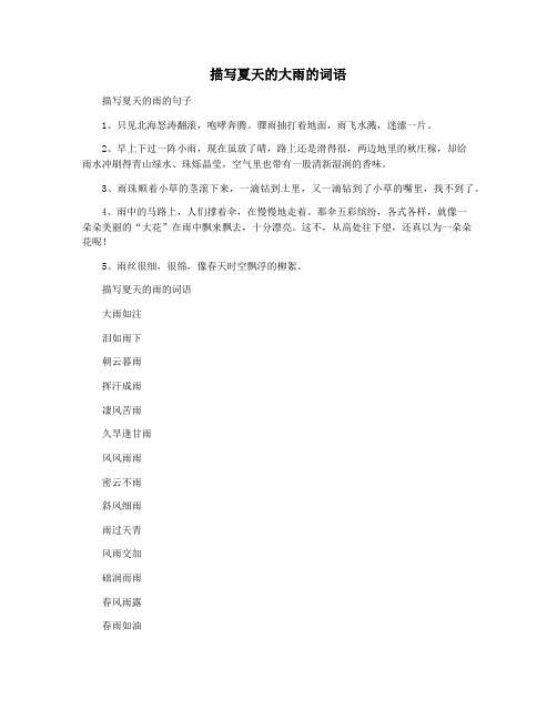 描写夏天的大雨的词语