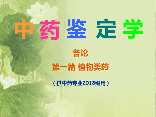 1概述-何首乌