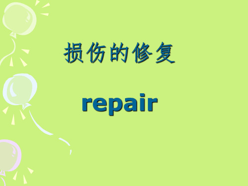 【英文课件-病理生理学】_损伤的修复repair-上海交通大学医学院学习