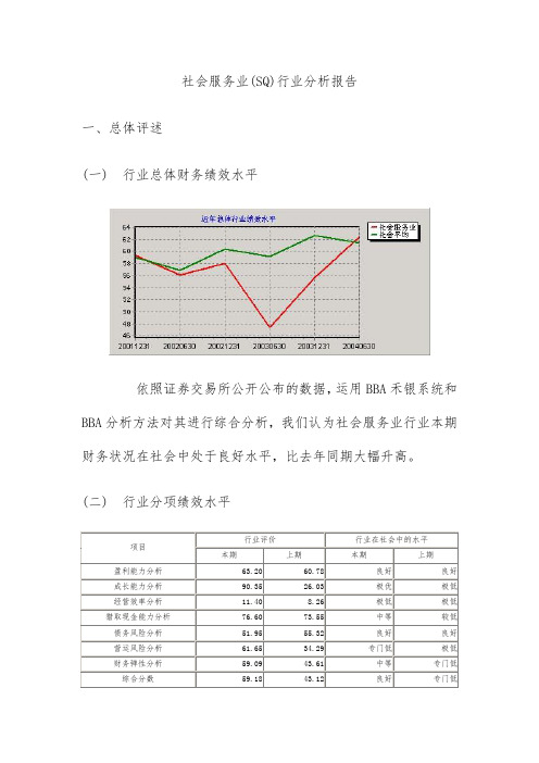 社会服务业行业分析报告文件