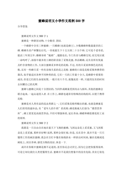 蜜蜂说明文小学作文范例500字