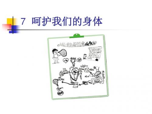 秋教科版科学四上4.7《呵护我们的身体》ppt课件3