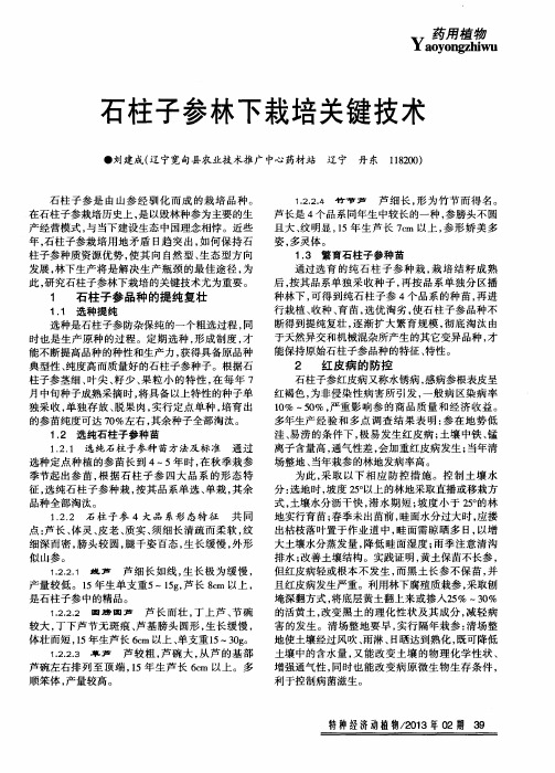 石柱子参林下栽培关键技术