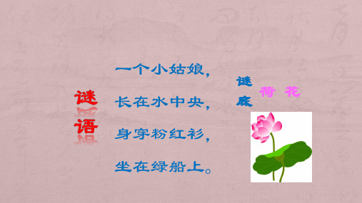 江西版美术三年级下册《荷花美》完整版通用课件(1)