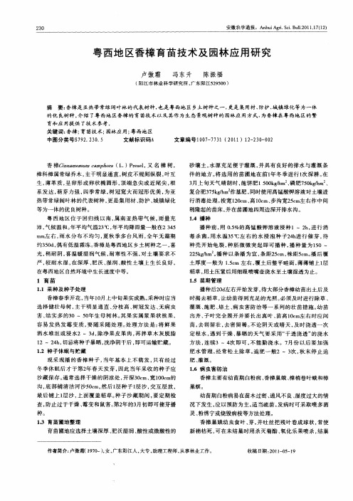 粤西地区香樟育苗技术及园林应用研究