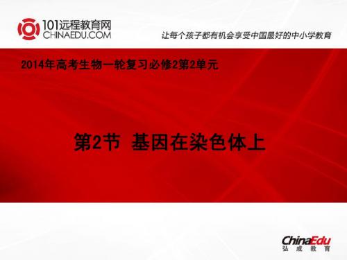 2014年高考一轮复习必修2 2.2基因在染色体上