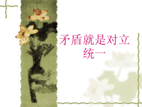 矛盾就是对立统一