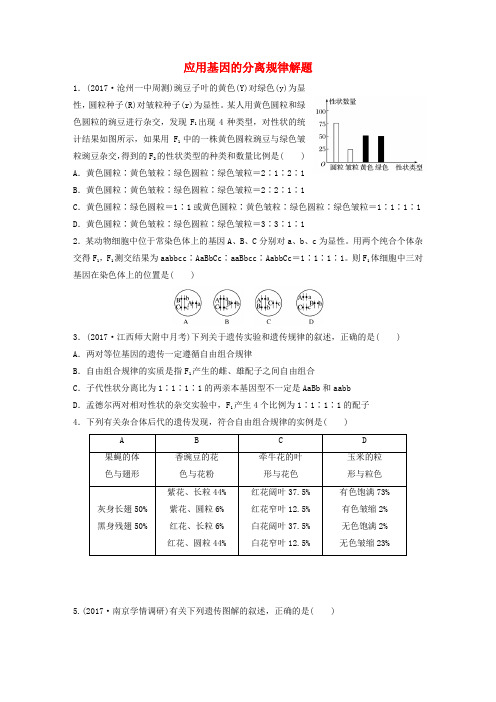 高考生物重难点强化练第39练应用基因的分离规律解题北师大版