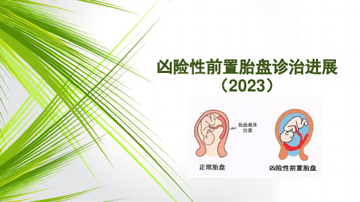 凶险性前置胎盘诊治进展2023