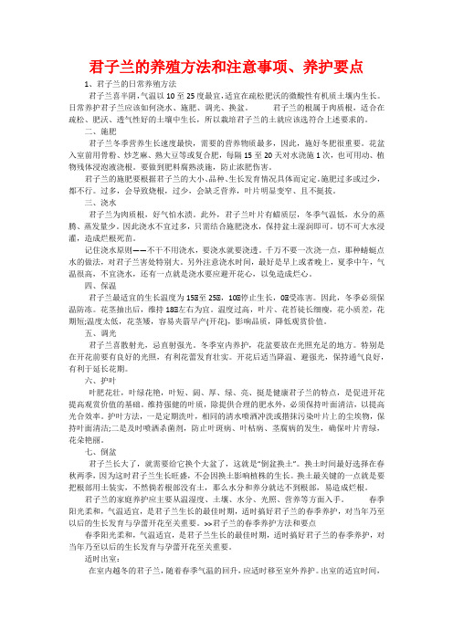 君子兰的养殖方法和注意事项、养护要点