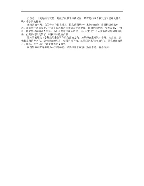我发现了蜜蜂的秘密