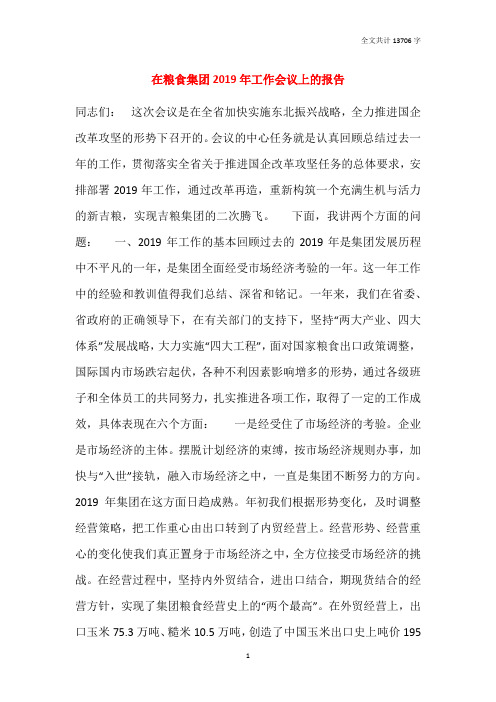 在粮食集团2019年工作会议上的报告