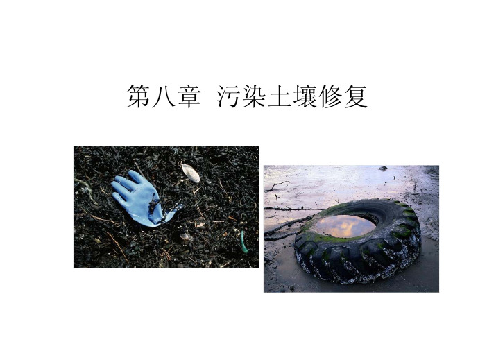 8章 污染土壤修复