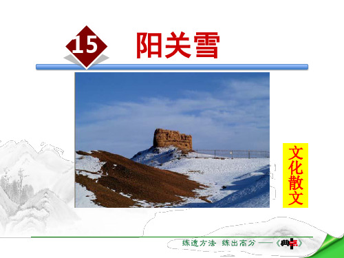 《阳关雪》PPT【优质课件】