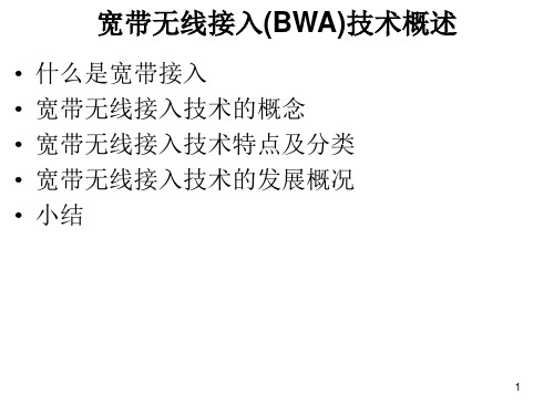 宽带无线接入技术概述
