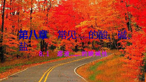 九年级化学下册 第八章 常见的酸、碱、盐 8.1 溶液的酸碱性同步练习课件