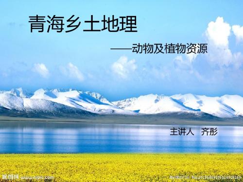 青海乡土地理