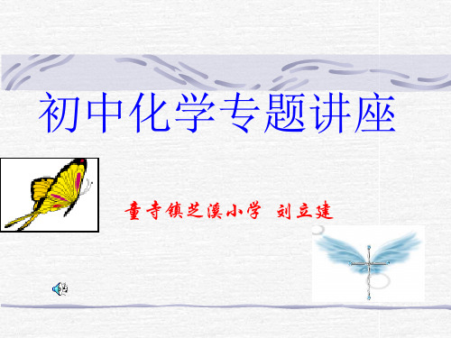 初中化学专题讲座精品PPT课件