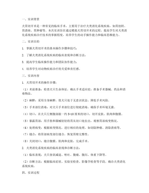 犬胃切开术的实训报告
