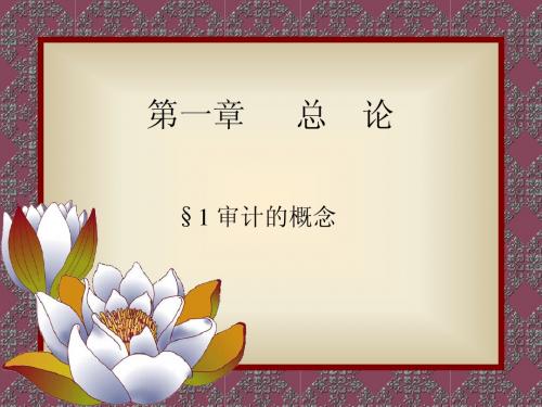 东北财大版审计讲义(1-4章)