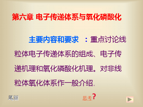 电子传递体系与氧化磷酸化