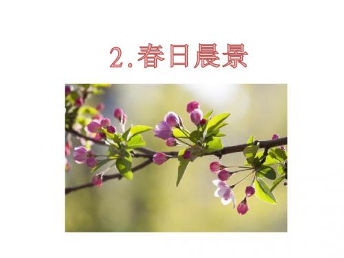 最新冀教版二年级语文下册课件：2春日晨景