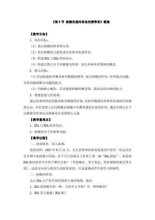 《第5节 核酸是遗传信息的携带者》教案和导学案