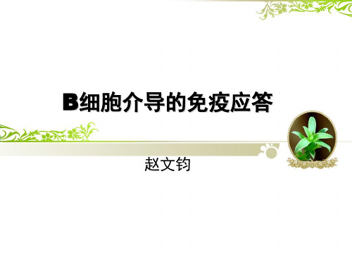 T细胞介导的免疫应答