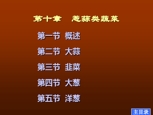蔬菜栽培学课件第十章葱蒜类蔬菜