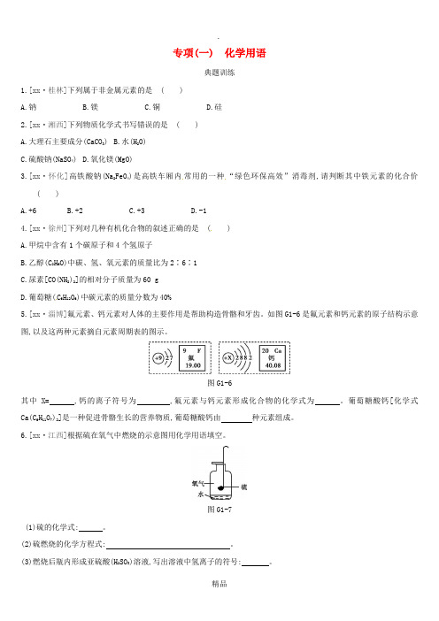 (江西专版)201x中考化学总复习 第一篇 基础过关篇 专项01 化学用语习题
