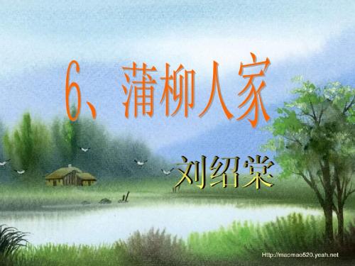 蒲柳人家(共20张PPT)