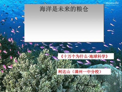 海洋是未来的粮仓PPT8 语文版 (共13张PPT)
