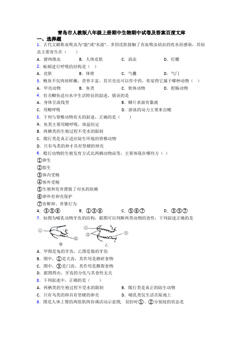 青岛市人教版八年级上册期中生物期中试卷及答案百度文库