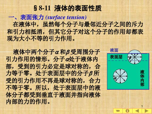 物理-液体表面张力