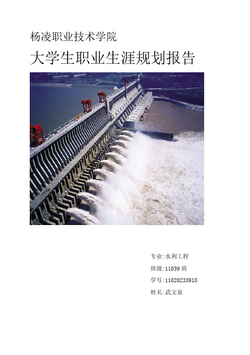 大学生职业生涯报告