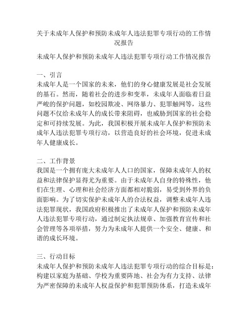 关于未成年人保护和预防未成年人违法犯罪专项行动的工作情况报告