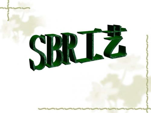 SBR工艺