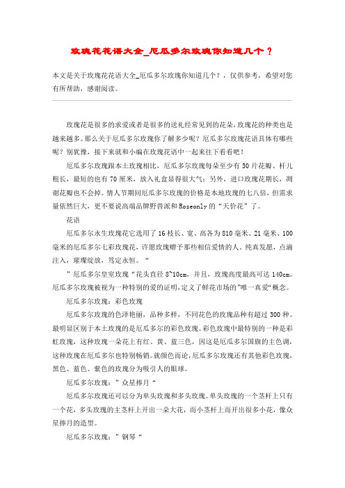 玫瑰花花语大全_厄瓜多尔玫瑰你知道几个？