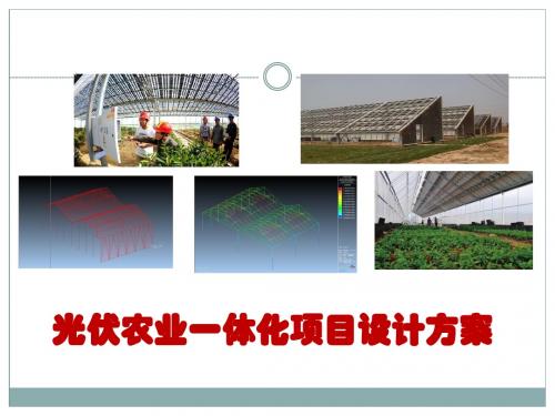 2016年最新最权威光伏农业一体化项目设计方案建议