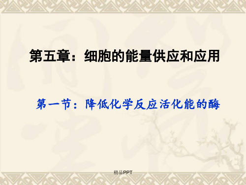 人教版高中生物必修1第5章第1节 降低化学反应活化能的酶课件(1)