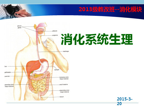 病理生理学：消化系统生理