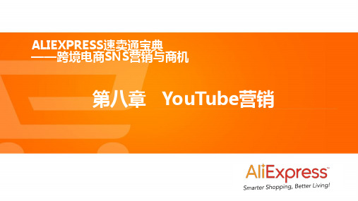 第八章 YouTube营销