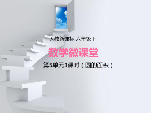 数学六年级上人教新课标5-圆的面积课件(64张)