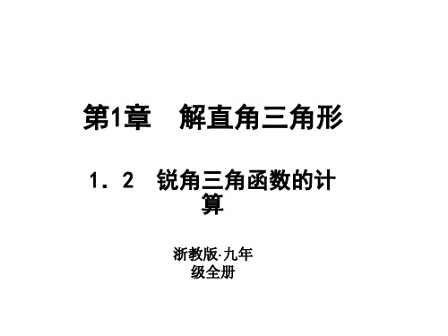 浙教版九年级数学下册习题课件：1.2 锐角三角函数的计算 (共11张PPT)