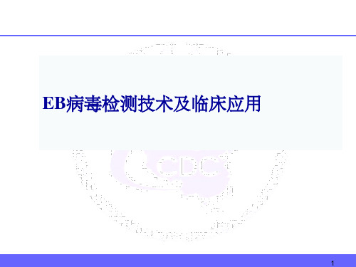 EB病毒检测技术进展及临床应用ppt课件