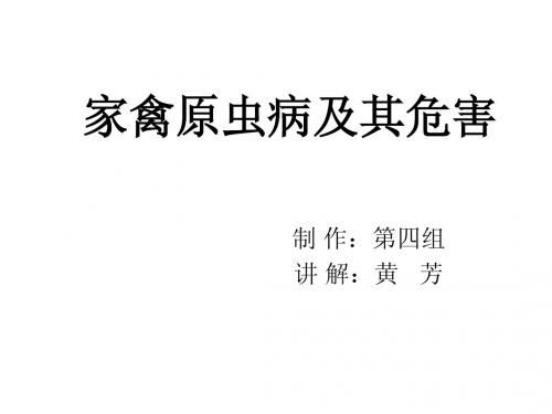 家禽原虫病及其危害