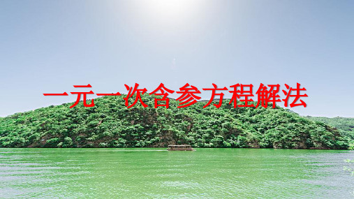 一元一次参数方程解法