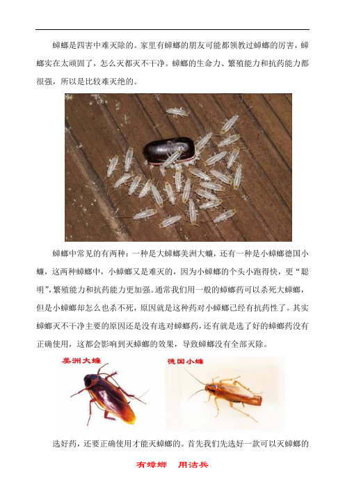 家里蟑螂太多预示什么