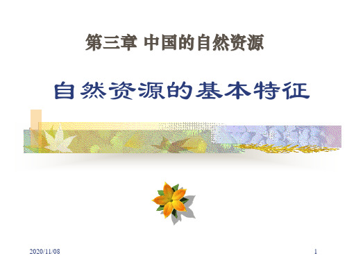 人教版八年级上册地理 《自然资源的基本特征》中国的自然资源PPT教学课件