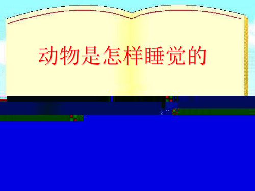 小动物是怎样睡觉的课件.ppt